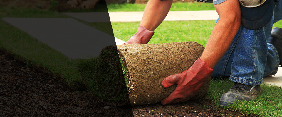 Williamstown Landscapers